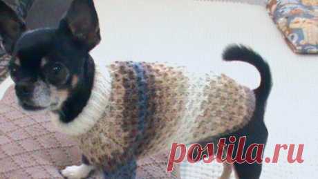 Мания Вязания с Ольгой Дубининой | Вяжем свитер для маленькой собачки Мастер класс