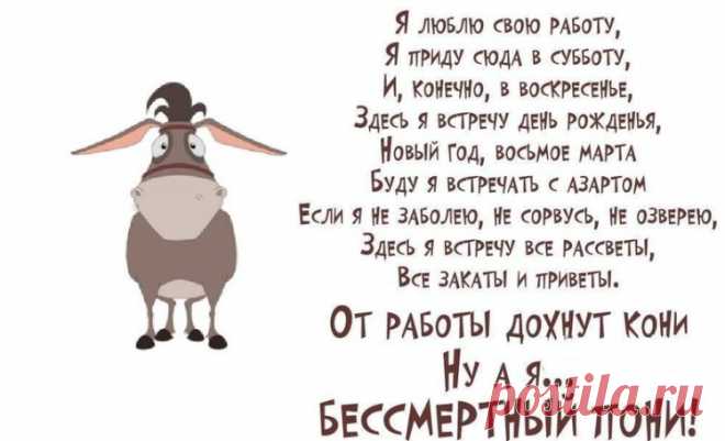 Юмор о работе и о тех кто пашет как лошадь: анекдоты, веселые картинки