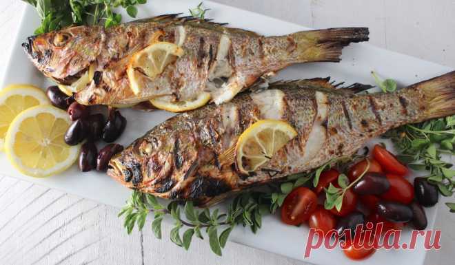 Как правильно запечь рыбу в духовке, рецепты запеченной рыбы