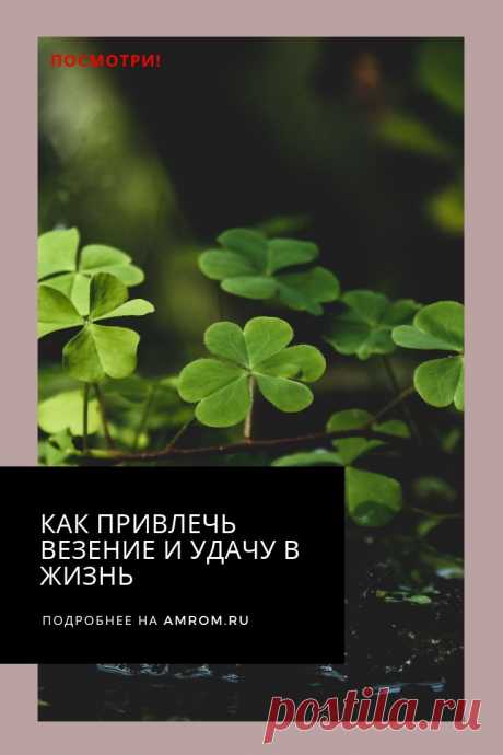 Как привлечь везение и удачу жизнь. Каждый из нас наверняка замечал, что жизнь, как в анекдотичной картинке, состоит из черных и белых полос, подобно зебре. Почему на смену везению и хорошему настроению рано или поздно приходят неудачи и депрессия?