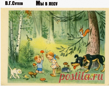 Сказка Владимира Сутеева, которая описывает приключения детей, собачки и маленького котика в лесу