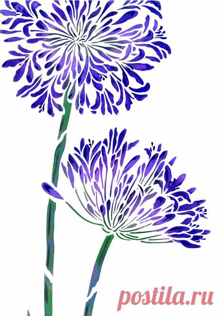 Large Agapanthus Stencil - Henny Donovan Motif Exquisite large 2 sheet flower stencil
The Large Agapanthus Stencil - based on Henny's closely observed drawings of the beautiful agapanthus flower. The Large Agapanthus Stencil perfectly captures the stately elegance of the Agapanthus (African Lily) in full bloom. This design is perfect for creating modern feature walls, panels and fabric drops.

Use tones of purple, lilac, blue and green for a clean, fresh modern look, or st...