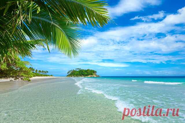 ....Пальмы, океан, песок,
Остров — райский уголок.
Отдыхает здесь душа,
Жизнь течет тут не спеша.......Тенерифе