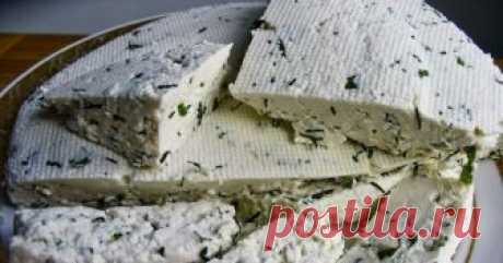 Рецепт домашнего сыра с зеленым луком Вкусный домашний сыр может приготовить каждый, даже те, кто делают это впервые. Такой продукт не сравнить с покупным. Для изготовления домашнего сыра используют молоко, полезные свойства которого переходят в состав сыра в концентрированном виде.