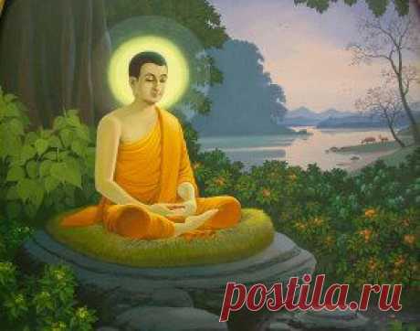 10 жизненных принципов от Будды | Evolutionist.ru