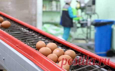 В двух регионах ФАС возбудила дела против производителей яиц. Ставропольское и Луганское управления Федеральной антимонопольной службы (ФАС) возбудили дела в отношении производителей куриных яиц, сообщила пресс-служба ФАС России.