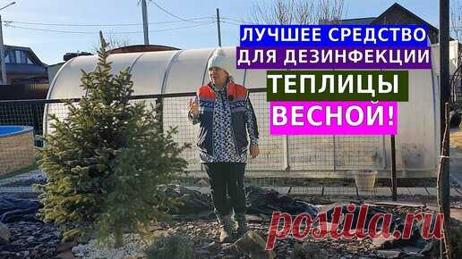 Лучшее средство для дезинфекции теплицы весной | Вдали от города (огород + подсобное хозяйство) | Дзен