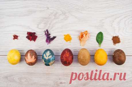 Натуральные красители яиц: как просто красить яйца шелухой, специями и овощами - Статьи на Повар.ру
