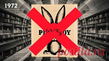 Изображение из Playboy 1972 года запретили использовать в научных работах | Bixol.Ru