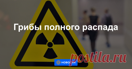 Грибы полного распада В одном из архангельских врачей, оказывавших помощь пострадавшим при взрыве, нашли цезий-137.