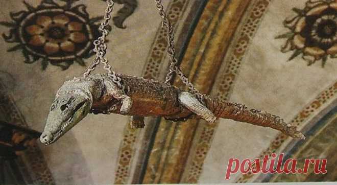 Достопримечательность – к подвесу церковного потолка прикреплено мумифицированное тело крокодила Статья автора «Калейдоскоп новостей» в Дзене ✍: В итальянском регионе Ломбардия, в церкви Сантуарио делла Беата Верджине Мария делле Грацие, можно увидеть необычную достопримечательность – к подвесу