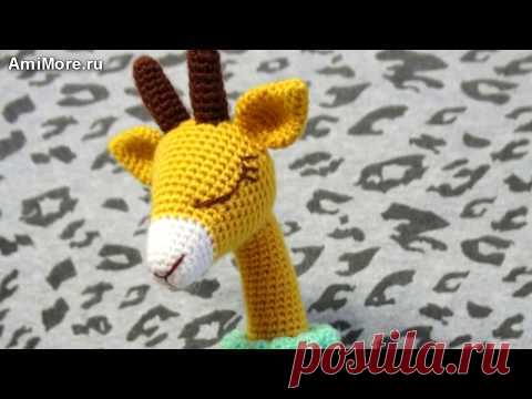 Амигуруми: схема Леди Жирафа. Игрушки вязаные крючком. Free crochet patterns.