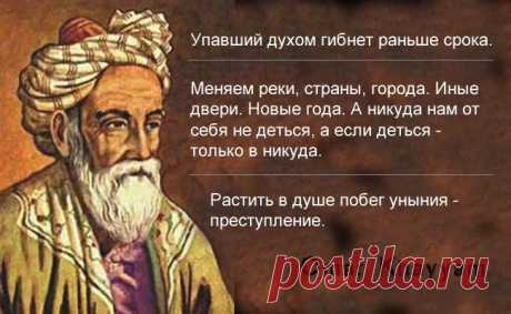 «Не делай зла — вернется бумерангом» — 20 вечно актуальных цитат Хайяма - Жизнь планеты