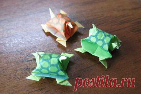 Мастер-класс по изготовлению оригами-черепахи из бумаги Делаем своими руками оригами-черепаху из бумаги: пошаговые инструкции с поэтапной сборкой изделий, мастер-классы, фото- и видеоуроки