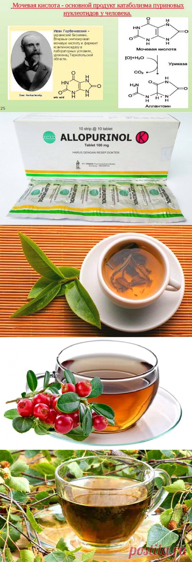 Чай при повышенном содержании мочевой кислоты отзывы