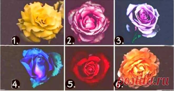 Тест: Выберите самую красивую розу, и мы отгадаем ваш характер
Здравствуйте Уважаемые подписчики и гости канала. Для Вас мы приготовили еще один интересный психологический тест по картинкам. Кто не любит розы? Они нравятся всем! А мы приготовили для Вас простой тест, в котором Вам нужно выбрать самый красивый на ваш взгляд цветок, а мы расскажем об особенностях личности. — — — — — — Результаты […]
Читай дальше на сайте. Жми подробнее ➡