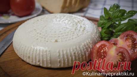 Адыгейский домашний сыр - рецепт, доступный новичку | Кулинарные практики | Дзен
