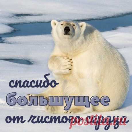 Спасибо от чистого сердца (открытка 1027): Бесплатные картинки &amp;#8226; Otkrytki.Top