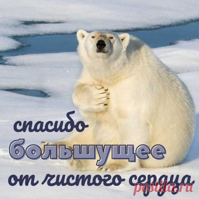 Спасибо от чистого сердца (открытка 1027): Бесплатные картинки &#8226; Otkrytki.Top