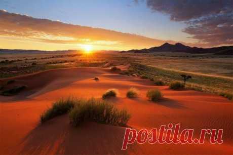 Пустыня тоже может быть красивой. Фантастические пейзажи Намибии - Краски мира - медиаплатформа МирТесен Хоугаард Малан, путешествуя по Африке, собрал огромную коллекцию фоторабот, посвящённую этому континенту. Ниже представлены фотографии, сделанные им в пустыне Намиб, которая занимает большую часть государства Намибия.