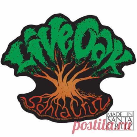 Купить Santa Cruz Live Oak Tree Sticker Decal by на eBay.com из Америки с доставкой в Россию, Украину, Казахстан