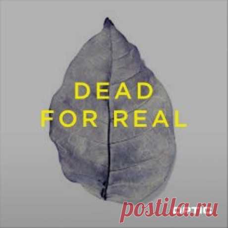 Optic - Dead For Real (2024) [Single] Artist: Optic Album: Dead For Real Year: 2024 Country: Sweden Style: Synthpop