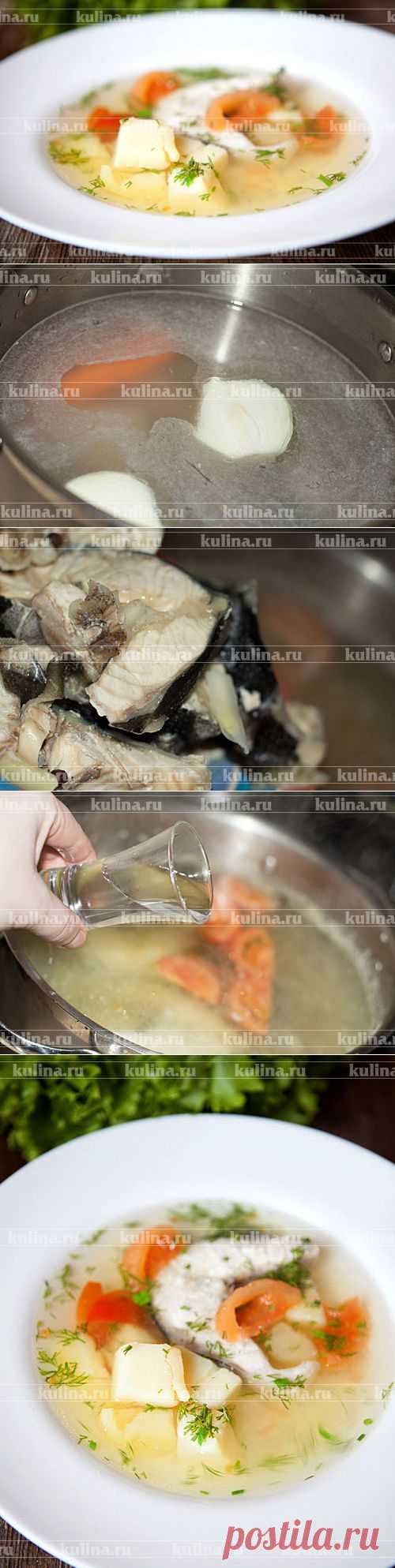 Суп из осетрины – рецепт приготовления с фото от Kulina.Ru