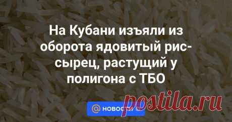 28-10-23--На Кубани изъяли из оборота ядовитый рис-сырец, растущий у полигона с ТБО В Краснодарском крае изъяли из оборота растущий у полигона ТБО рыс-сырец с выявленным в нем содержанием свинца и мышьяка.