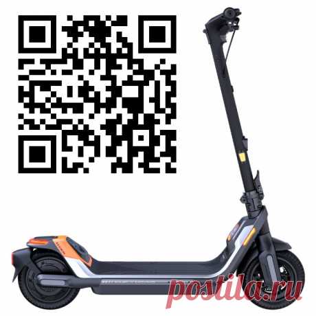 Ninebot KickScooter P65