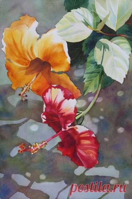 Yellow and Red Hibiscus Watercolor by Anne Abgott ~ Floral Art