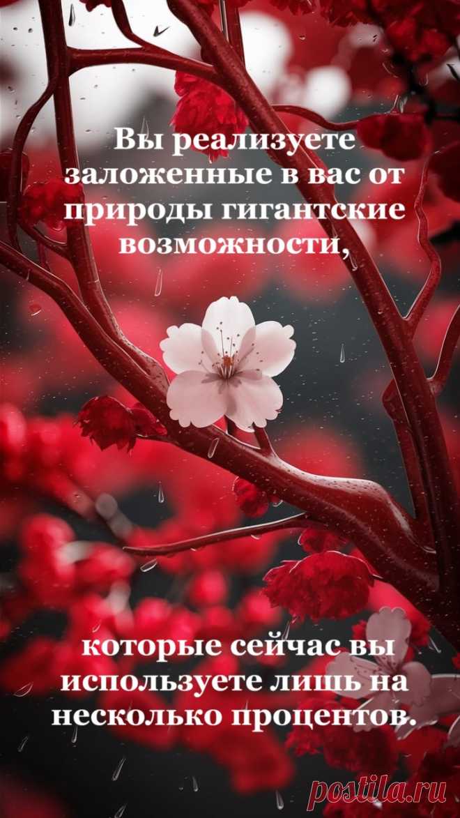 Вы реализуете заложенные в вас от природы гигантские возможности, которые сейчас вы используете лишь на несколько процентов.