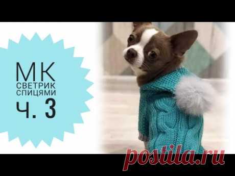 МК Светрик для собачки спицями. Ч. 3