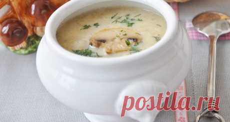 Изысканный суп–жюльен с шампиньонами - Готовим счастье на Леди Mail.Ru - Philips