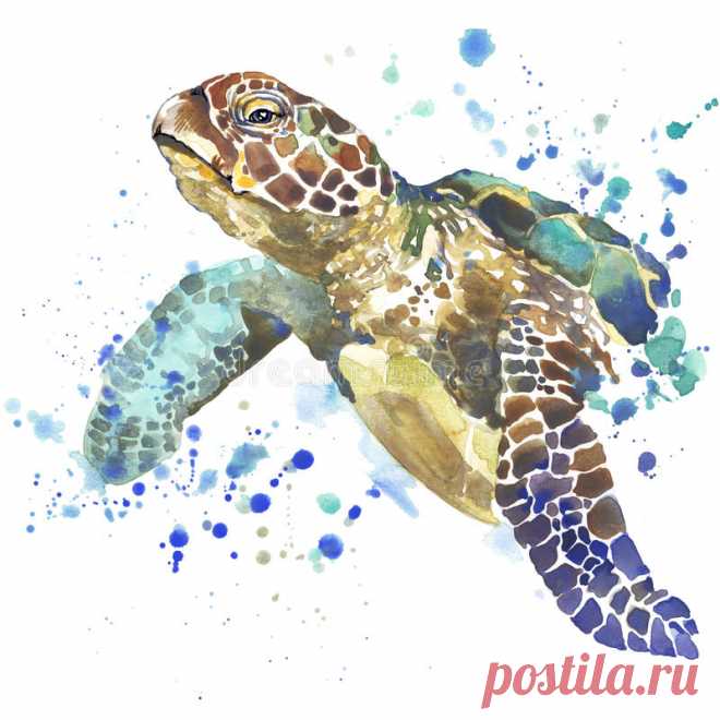 Sea Turtle T-shirt Graphics. Sea Turtle Illustration With Splash Watercolor Textured Background. Unusual Illustration Watercolor Stock Illustration - Illustration of reptile, graphics: 56428477 Illustration about Sea turtle T-shirt graphics. sea turtle illustration with splash watercolor textured background. Illustration of reptile, graphics, cute - 56428477