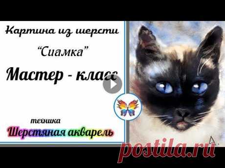 Картина из шерсти сиамская кошка мастер класс???? Как нарисовать кошку шерстью пошагово ????