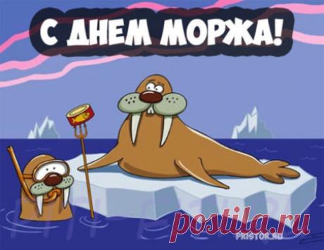 Моржи — удивительные создания, живущие большими и дружными группами. В их праздник хочется пожелать вам теплоты общения и надёжных друзей рядом. Пусть северное величие вдохновит вас. Открытки на День моржа.