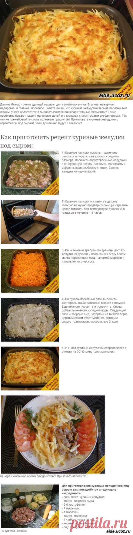 Куриные желудки под сыром (пошаговый рецепт с фото) - рецепты - Кулинария - Каталог файлов - Хобби.