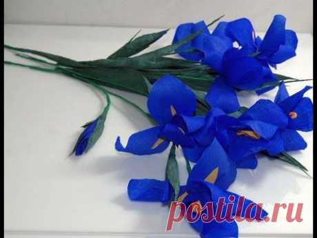 Kwiaty z bibuły- Irys. Paper crepe flowers - Iris. Ирис DIY