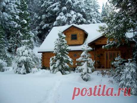 Дом в зимнем лесу - фото и картинки: 29 штук
