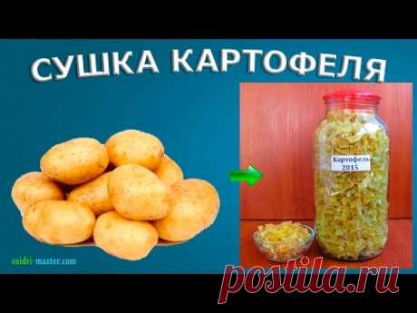 Сушеный картофель в поход