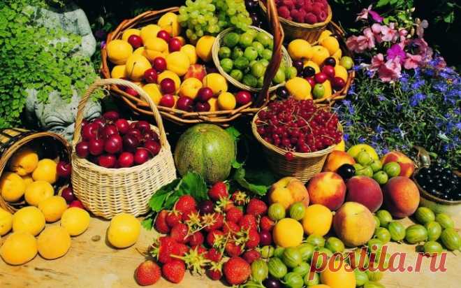 Как правильно хранить фрукты дома — Полезные советы