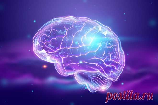 Новая надежда на излечение неврологических расстройств: ученые выяснили, как важнейшее питательное вещество попадает в мозг