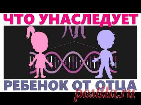 ЧТО ПЕРЕДАЕТСЯ ОТ ПАПЫ И МАМЫ ДЕТЯМ | Какие гены передаются детям от папы, а какие от мамы