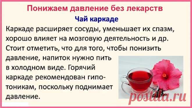Чай каркаде. Понижаем давление без лекарств | БОЛЯЧКИ: ДАВЛЕНИЕ | Постила