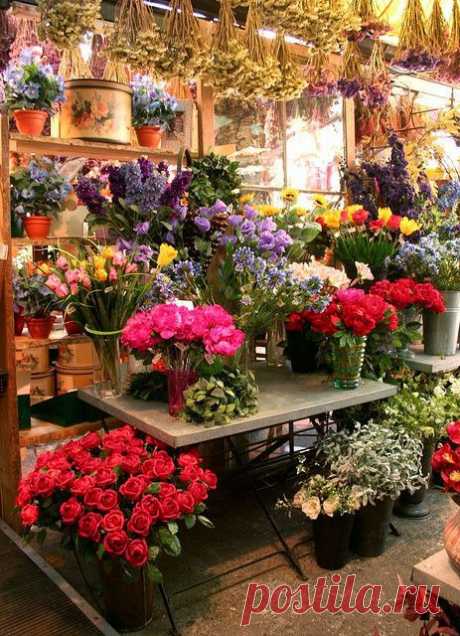 Amsterdam's flower market | Amsterdam