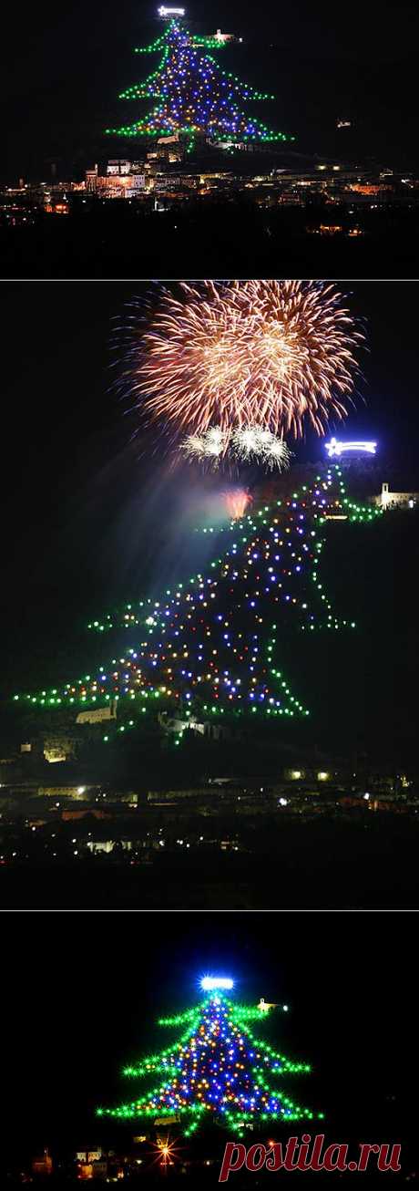 САМАЯ БОЛЬШАЯ РОЖДЕСТВЕНСКАЯ ЕЛКА !!! 

Самая большая рождественская елка находится в Италии. В маленьком центрально-итальянском городке Губбио неподалеку от Перуджи на горе Иджино зажигаются огни рекордного символа Рождества. 260 светильников образуют силуэт елки высотой 650 метров и шириной 350, а еще 270 — огни ее разноцветной гирлянды. Увенчивает «дерево» звезда, площадью почти 1000 м. кв. Когда иллюминация включается то гора Инжино преобретает прекрасный вид. Причем видно всё с ...
