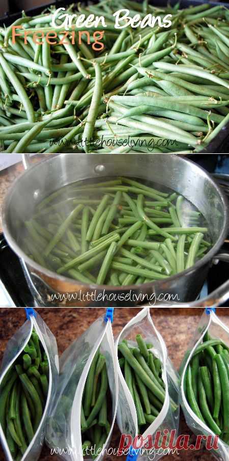 Freezing Green Beans - Little House Living