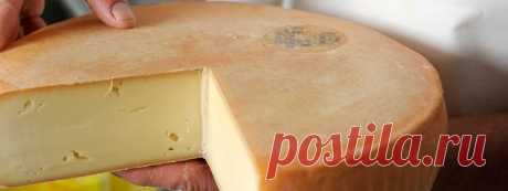 Советы покупателю при выборе натурального сыра — Всегда в форме!