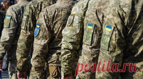 Военные в Житомире вышли на площадь, требуя наказать подозреваемых в рэкете. Около 40 украинских военнослужащих собрались на центральной площади у здания суда в Житомире с требованием наказать подозреваемых в рэкете. Читать далее