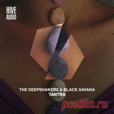 The Deepshakerz, Black Savana – Tantra [HA134X]